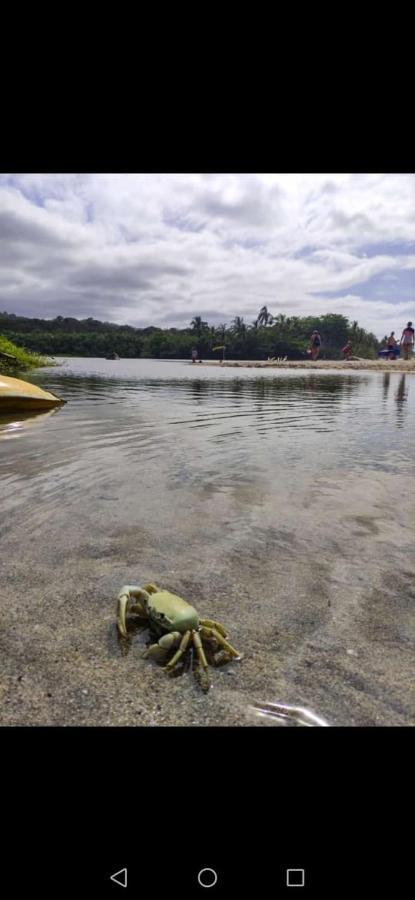 Hostal Estrellas Del Tayrona Playa Mendihuaca Guachaca Buitenkant foto